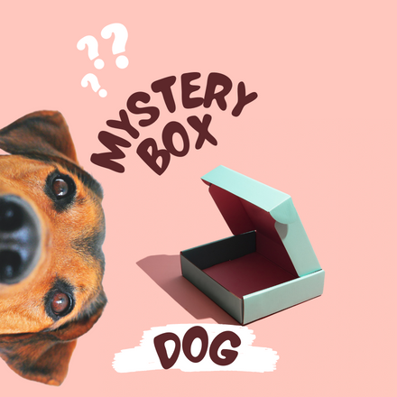 Mystery legetøjs Box