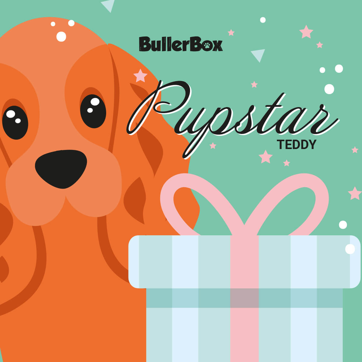 BullerBox Pupstar bamse