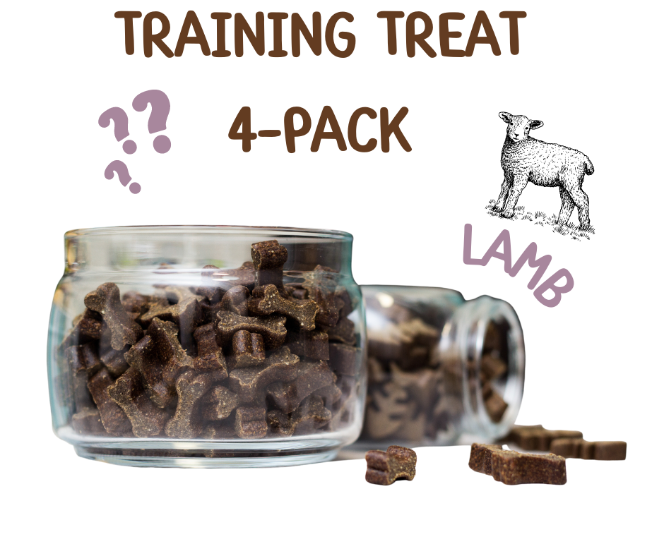 Training treat 4 pack - Lamb