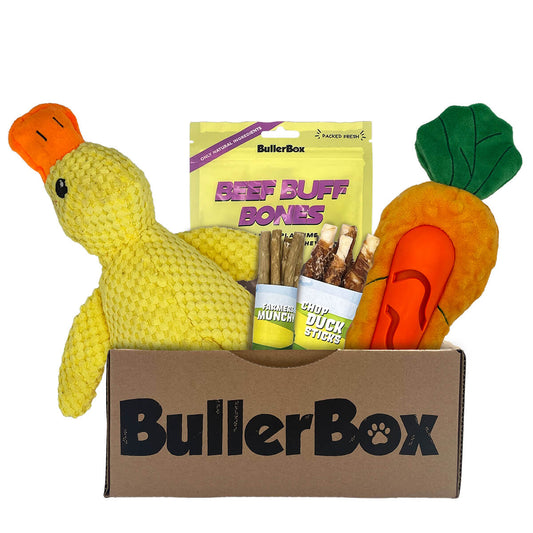 BullerBox Sniffing at the Farmers Market box