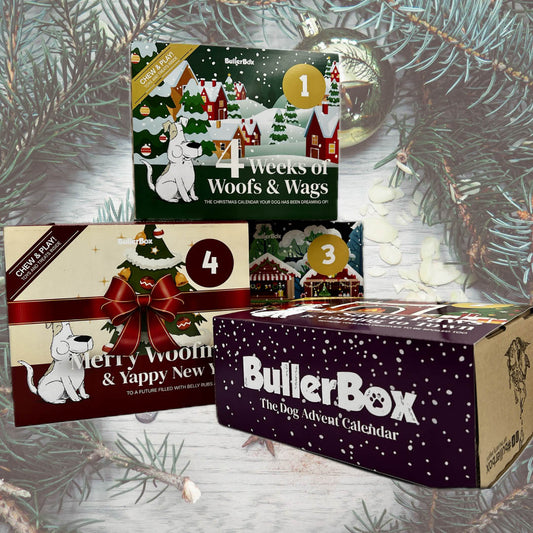 Adventskalender til hund – BullerBox juleglæde i 4 adventsbokse