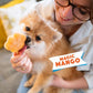 Smoofl Dog Ice Hundeis Mix m. mango