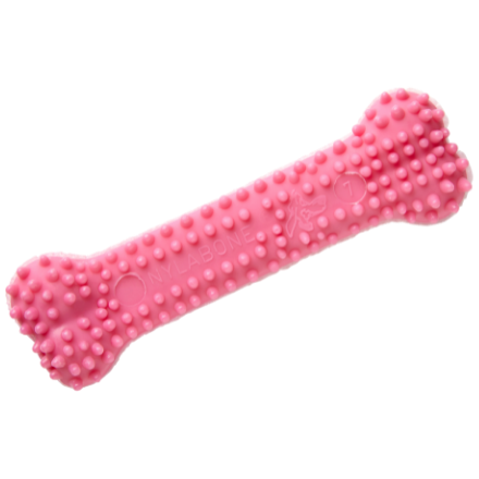 Nylabone dental hvalp