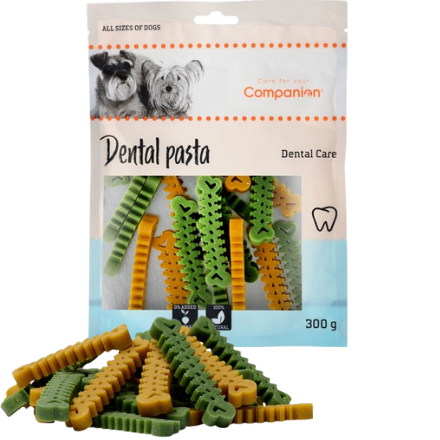 Companion dental pasta