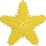 Companion chewing Toy Star