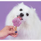 Hunde is
