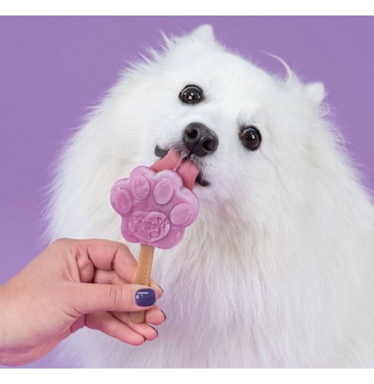 Hunde is